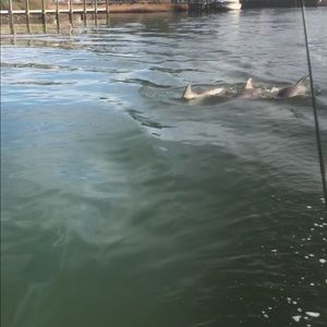 Meet your Posher, Garrett